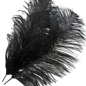 13"-15" Fabulous Natural Ostrich Feathers-12PCS - Black