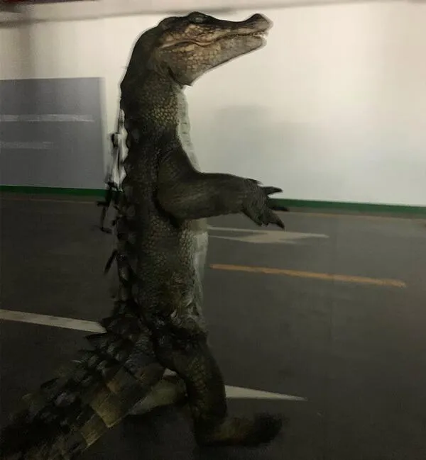 Realistic Crocodile Costume for TV Reality Show-DCCC001